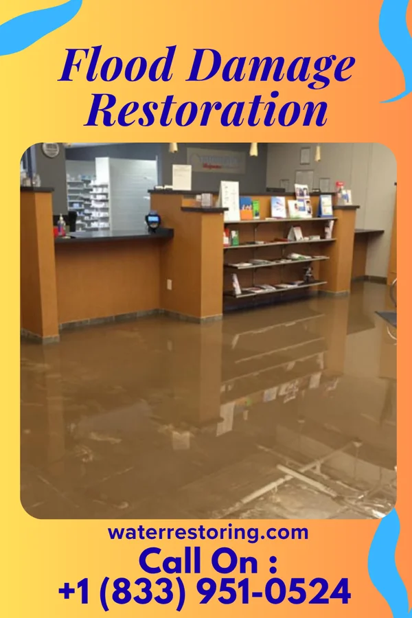 Flood Damage Restoration in Rusk, TX