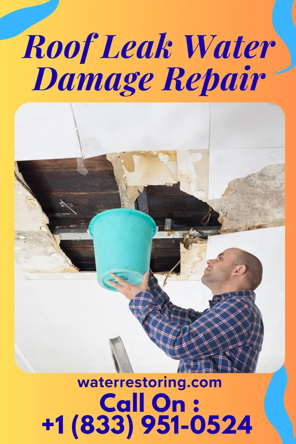 Roof Leak Water Damage Repair in Rusk, TX